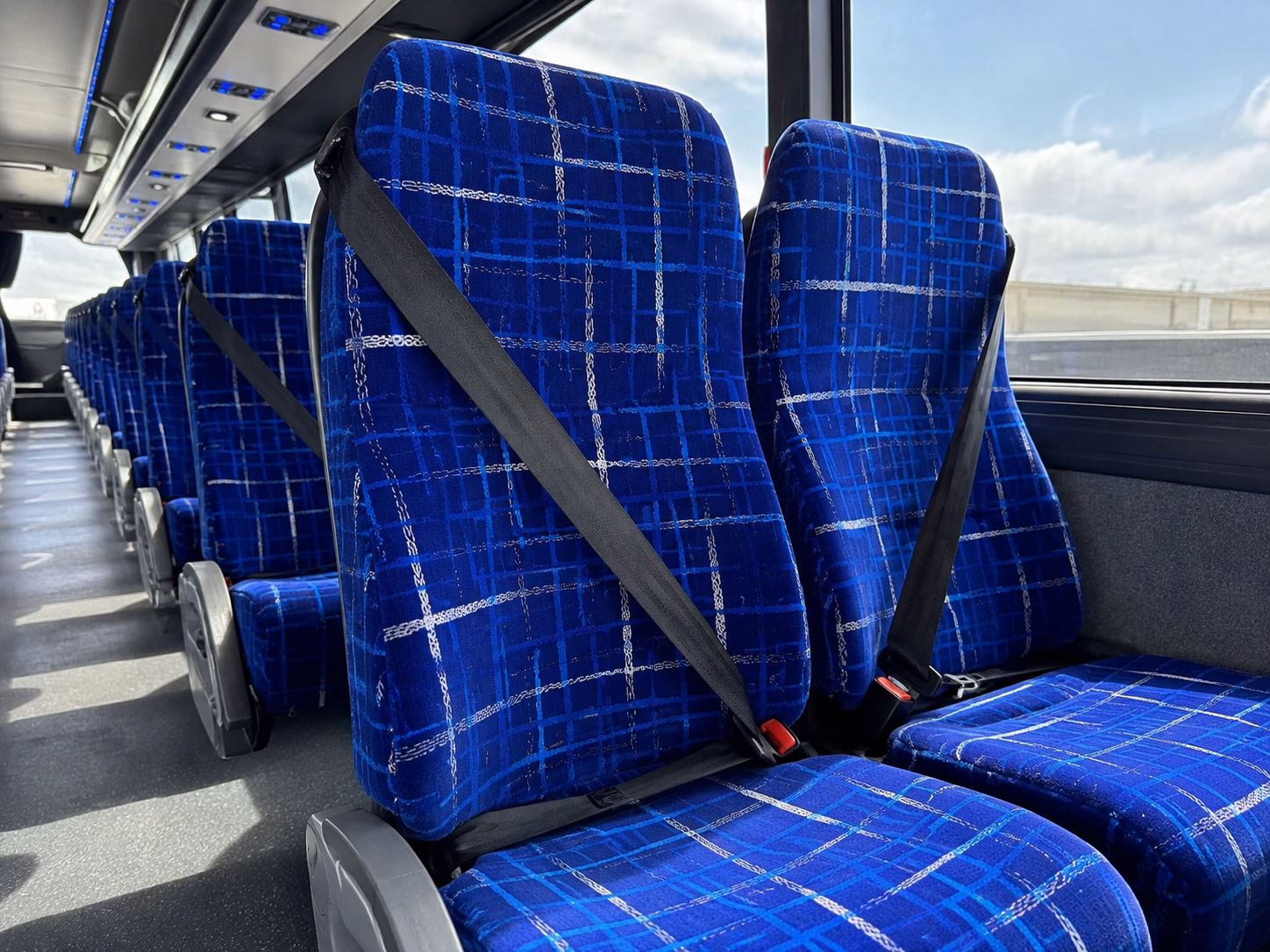 bus rentals