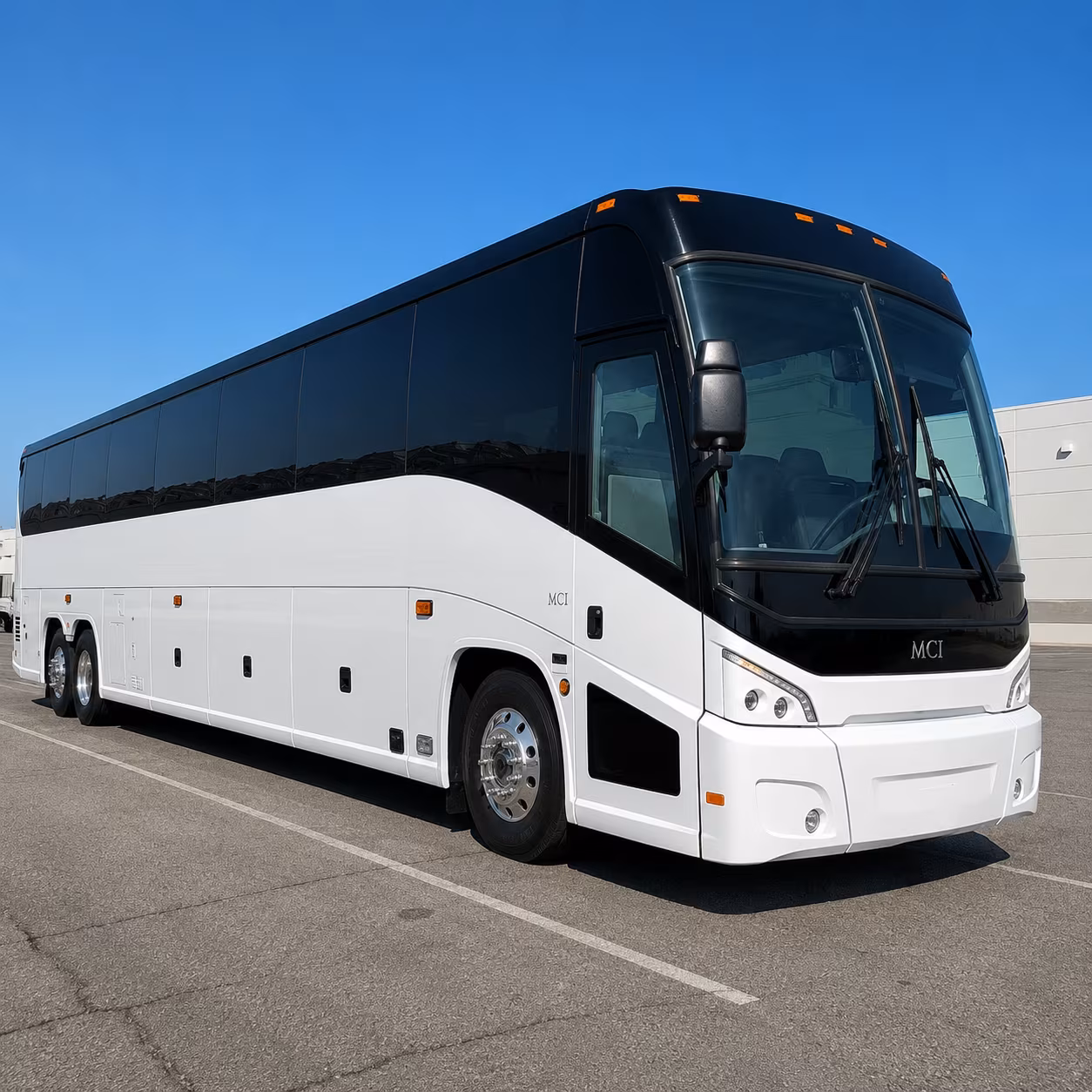 take your south fulton students to zoo atlanta with the right bus for your group
